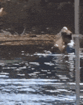 a blurred image of a body of water with a pole in the foreground
