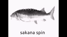Sakana Spin GIF - Sakana Spin GIFs