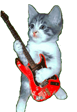 Cat Guitar Sticker - Cat Guitar Meme Stickers