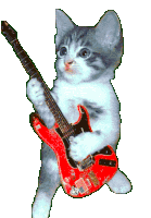 Cat Guitar Sticker - Cat Guitar Meme Stickers