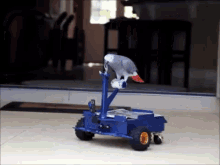 Birds Can Drive Too! GIF - Bird Parrot Buggy GIFs