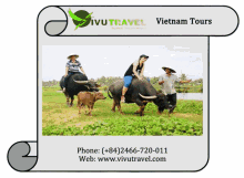 vietnam travel
