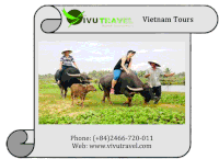 Vietnam Tours Travel Sticker - Vietnam Tours Travel Destinations Stickers