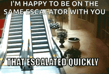 Thatescalatedquickly Escalator GIF - Thatescalatedquickly Escalator GIFs