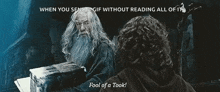 Lord Of The Rings Fool GIF - Lord Of The Rings Fool Tonto GIFs