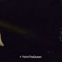 two women are dancing in a dark room with yerin the queen written in the upper right corner