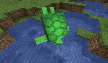 Turtle Minecraft GIF