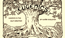 eugenics american eugenics fitter families forced sterilization