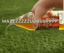 Beer Pour GIF - Beer Pour 40 GIFs