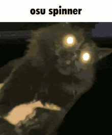 Osu Cat GIF - Osu Cat Spinner GIFs