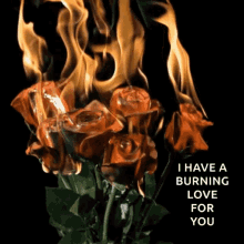 I Have A Burning Love For You Fire GIF