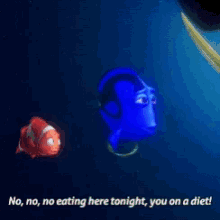 Nemo Dory GIF - Nemo Dory Finding GIFs