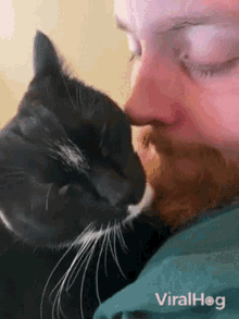 Kiss Viralhog GIF - Kiss Viralhog Cat GIFs