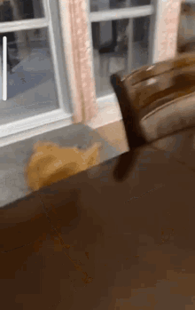 a cat is laying on a table in front of a sliding glass door