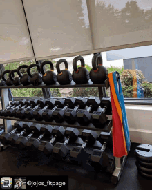 Where To Buy Gym Equipment Gym Equipment Stores GIF