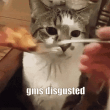 Gms Disgusted GIF - Gms Disgusted Gms Disgusted GIFs