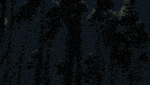 a tree is silhouetted against a full moon at night