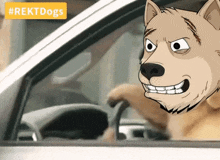 Rektdogs Rektdogsfu GIF - Rektdogs Rektdogsfu Rekt Dogs GIFs