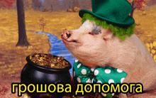 свинья леприкон GIF - свинья леприкон гроши GIFs