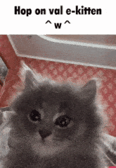a picture of a cat with the words hop on val e-kitten below it