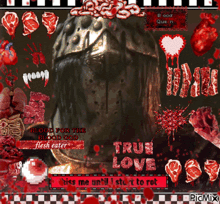 a collage of bloody images with the words true love on the bottom