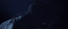 a close up of a horse in the dark with a dark background