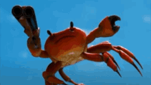 Crab Crabshotgun GIF