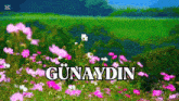 a bunch of pink and white flowers in a field with the word günaydin