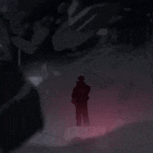 a person in a red shirt is standing in a dark room with birds flying in the background .