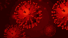 Virus Corona Virus GIF - Virus Corona Virus Corona GIFs