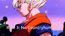 Rule 3 Goku GIF - Rule 3 Goku Countryhumans GIFs