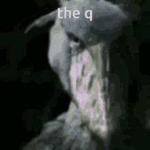 The W GIF - The W GIFs