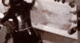 a dog is standing in front of a bathtub filled with bubbles .