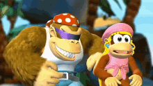 dixie dixie kong funky funky kong donkey kong country