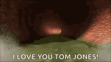 Flushed Away Tom Jones GIF - Flushed Away Tom Jones Rodney GIFs