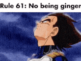 No Being Ginger Rule 61 GIF - No Being Ginger Rule 61 Vegeta GIFs