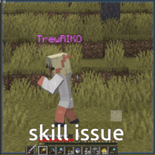 Skill Issue Minecraft GIF - Skill Issue Minecraft De3mo GIFs