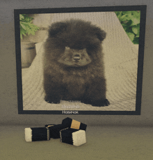 a picture of a black puppy is displayed on a computer screen
