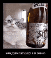 a cat is sitting next to a bottle of alcohol with a rabbit on the label