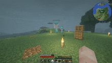 a screenshot of a minecraft game shows a person standing in a field with a torch