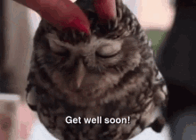 Getwell Get Well Soon GIF - Getwell Get Well Soon Owl GIFs