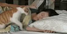 Wake Up Cat GIF - Wake Up Cat Bed GIFs