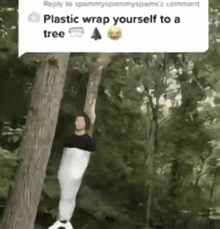 Plastic Wrap Yourself To A Tree GIF - Plastic Wrap Yourself To A Tree GIFs