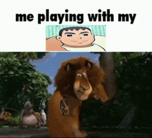 a picture of a lion with the words me playing with my above it