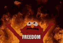 Elmo Fire GIF - Elmo Fire In GIFs
