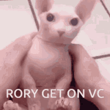 rory get on vc get on vc