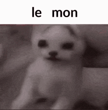 Le-mon Lemon GIF - Le-mon Lemon Melon GIFs