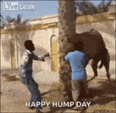 Humpday Wednesday GIF - Humpday Wednesday Camel GIFs