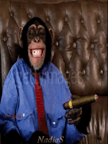 monkey wearing shirt tie cigar