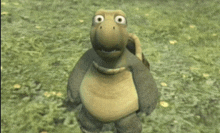 a cartoon turtle is standing in the grass with a surprised look on his face